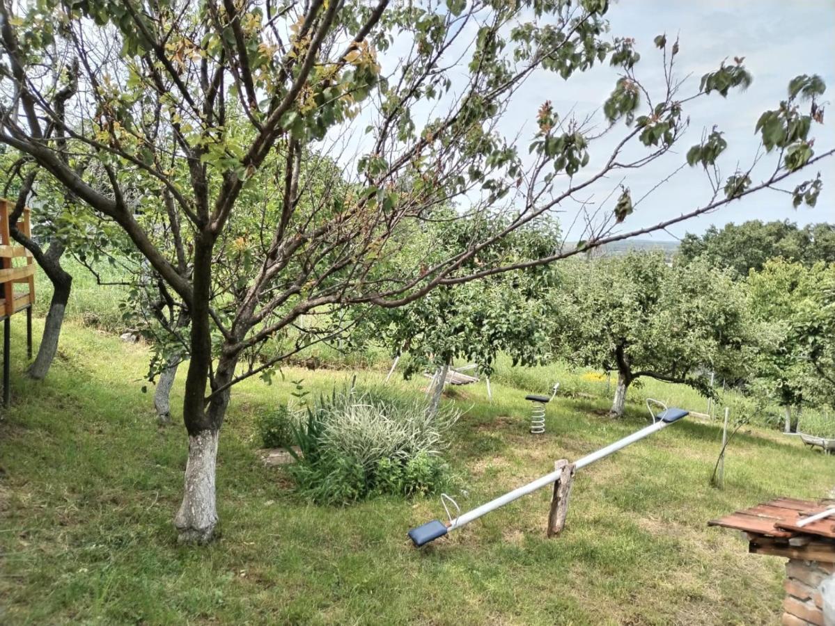 Maj1 Villa Kladovo Eksteriør billede